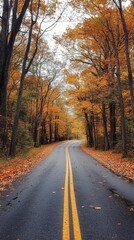 Fototapeta premium Serene road meandering through colorful fall foliage
