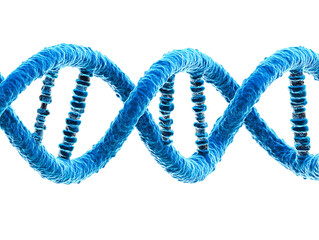 DNA model on a plain white surface and background