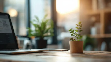 Enhance productivity with a minimalist home office setup featuring natural light, indoor plants, and a sleek, open laptop.