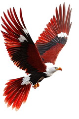 Obraz premium a red and white eagle with spread wings