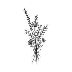 Wildflower line art bouquets, wild plant, botanical vector illustration
