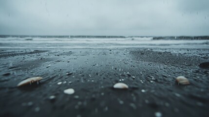 Rainy beach scene with seashells coastal ocean gray environment low angle view nature's calm and serenity
