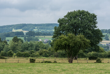 Green landscape with agricutlure fields and houses at the Belgian countryside