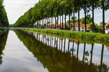 Trees reflecting in the water of the canal, Damse Vaart, Flanders, Belgium