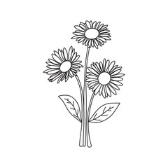 Flower bouquet vector. Hand drawn flower. Botanical vector illustration