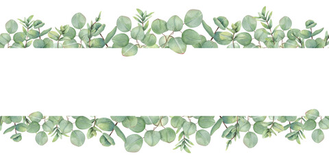 Watercolor evergreen tropical eucalyptus branches border isolated background. Silver dollar foliage horizontal frame with empty space for text. Floral illustration for stationary, textile, invitation © Masha_tolk_art