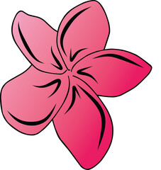 Illustration of a vibrant pink tropical flower with creative, abstract design elements for artistic representation.