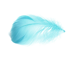 One fluffy light feather isolated on white