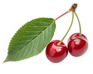 Red cherries background PNG