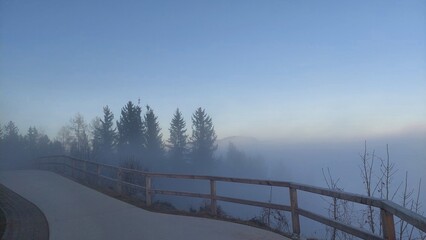 Fototapeta premium Observation deck on the hillside overlooking the valley. Silhouettes of trees in the fog