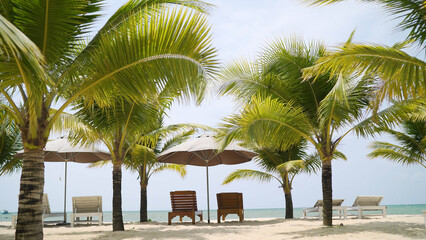 Tropical beach palm trees swaying in breeze with sunbeds and umbrellas