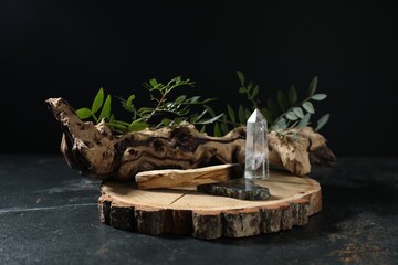 Burnt palo santo stick, gemstones, snag and green branch on dark table