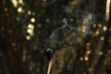 Smoldering palo santo stick against blurred background, closeup