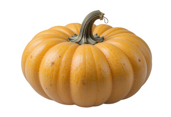 "whole butternut squash isolated on transparent, perfect for cooking or fall themes"

