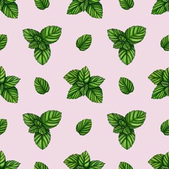 Seamless Pattern Fresh Mint Small Design on Pastel Pink Background