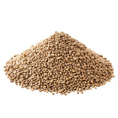 Golden Wheat Grains Background on transparent background