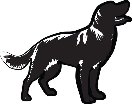 recommend clip art: Standing black dog silhouette on white background, dog vector, dog standing icon,dog silhouette vector illustration,Dogs Walking and Running Silhouettes