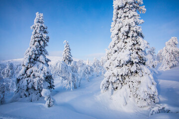 Winter landscape in Pallas Yllastunturi National Park, Lapland, Finland