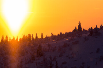 Winter sunset in Pallas Yllastunturi National Park, Lapland, Finland