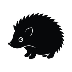 hedgehog on a white background