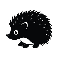 hedgehog on a white background