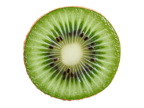 slice of kiwi isolated on transparent background