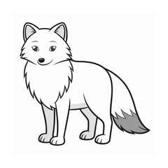 black and white fox