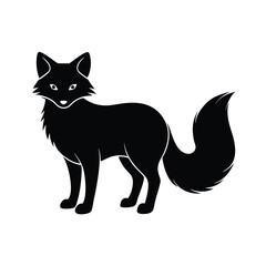 black and white fox