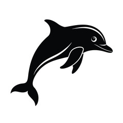 dolphin isolated on white background