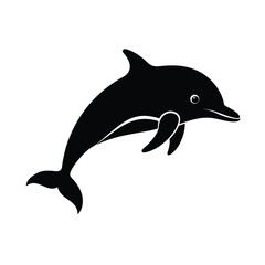 dolphin isolated on white background