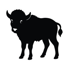 black and white bull
