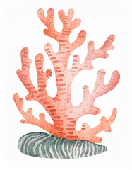 Obraz premium Watercolor Painting Of Coral