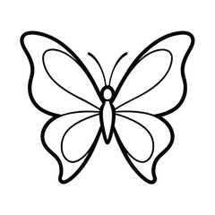 butterfly on white background
