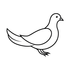 white dove silhouette