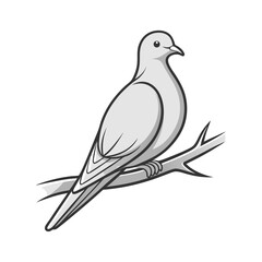 white dove silhouette