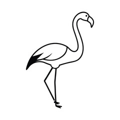 pink flamingo isolated on white