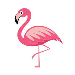 pink flamingo isolated on white