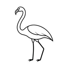 Fototapeta premium pink flamingo isolated on white
