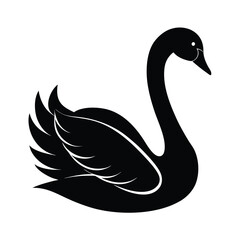 black swan vector