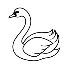 black swan vector