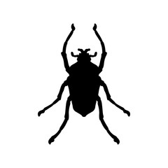 Insect bug icon silhouettes vector design illustration, isolated white background