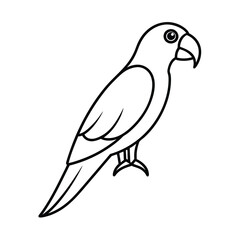 illustration of a bird
