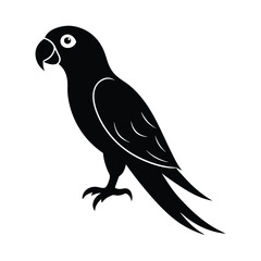 illustration of a bird