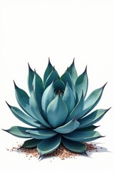 Obraz premium Serene Teal Succulent in a Bed of Pebbles, a Botanical Still Life Study of Desert Flora