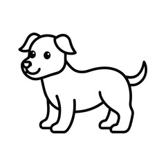 puppy on a white background