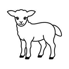 black and white sheep