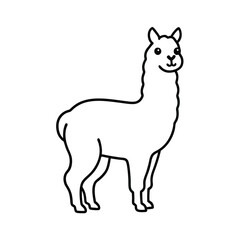 black and white sheep