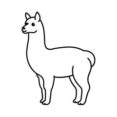 black and white sheep