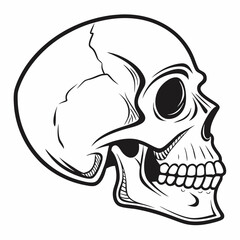 skull and crossbones