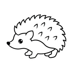 hedgehog in the park